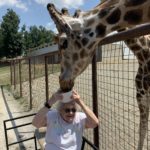 resident feeding giraffe