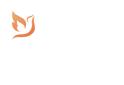 Lutheran Social Services Network